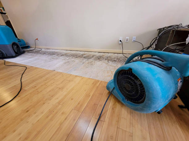 Professional Structural Drying technician working in Poy Sippi, WI